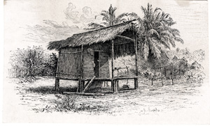 [thatch-roofed tropical hut]